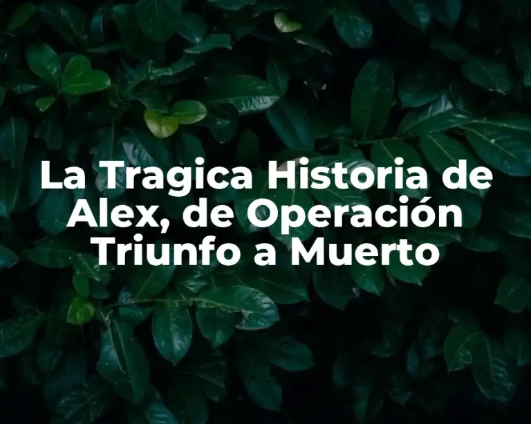 La Tragica Historia de Alex, de Operación Triunfo a Muerto