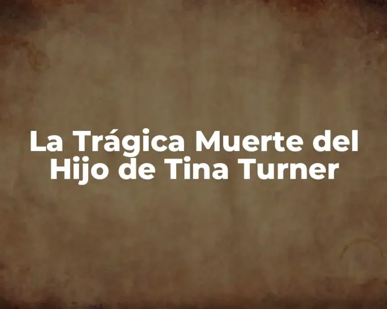 La Trágica Muerte del Hijo de Tina Turner