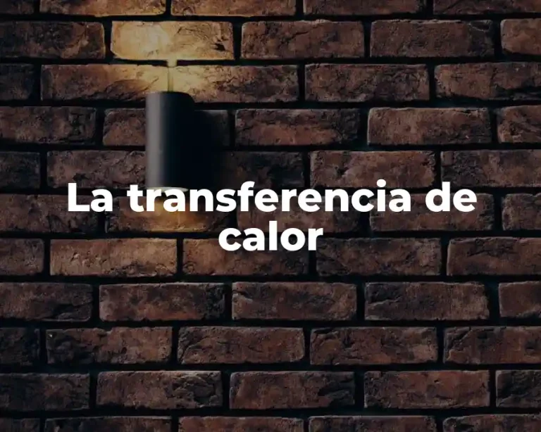La transferencia de calor