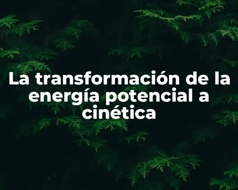 La transformación de la energía potencial a cinética