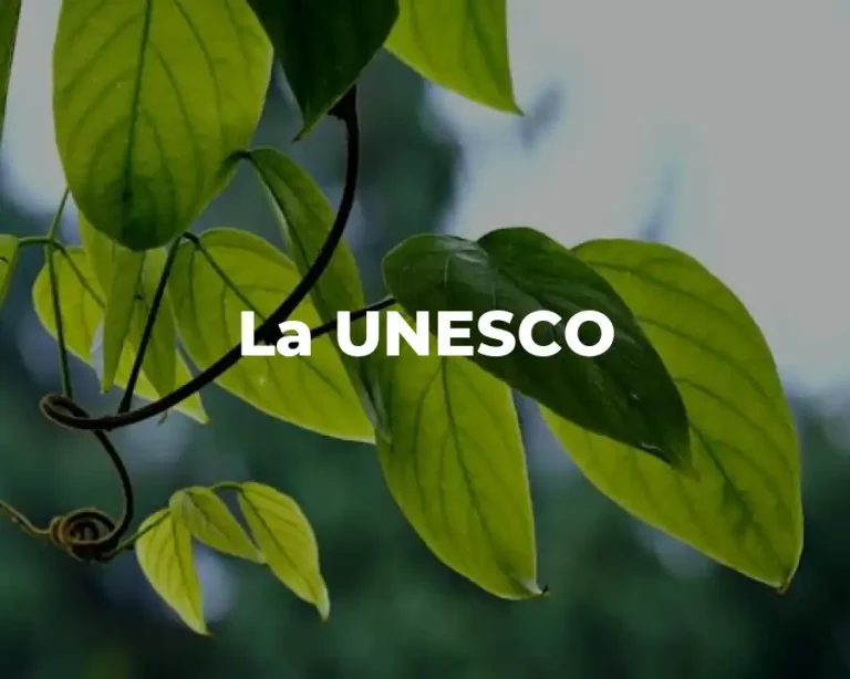 La UNESCO