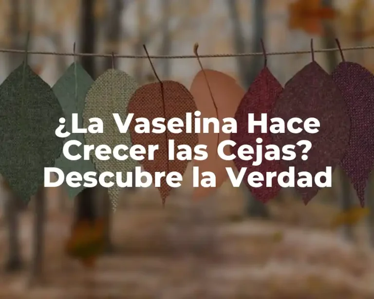 ¿La Vaselina Hace Crecer las Cejas? Descubre la Verdad