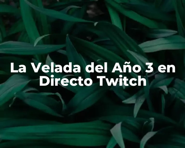 La Velada del Año 3 en Directo Twitch