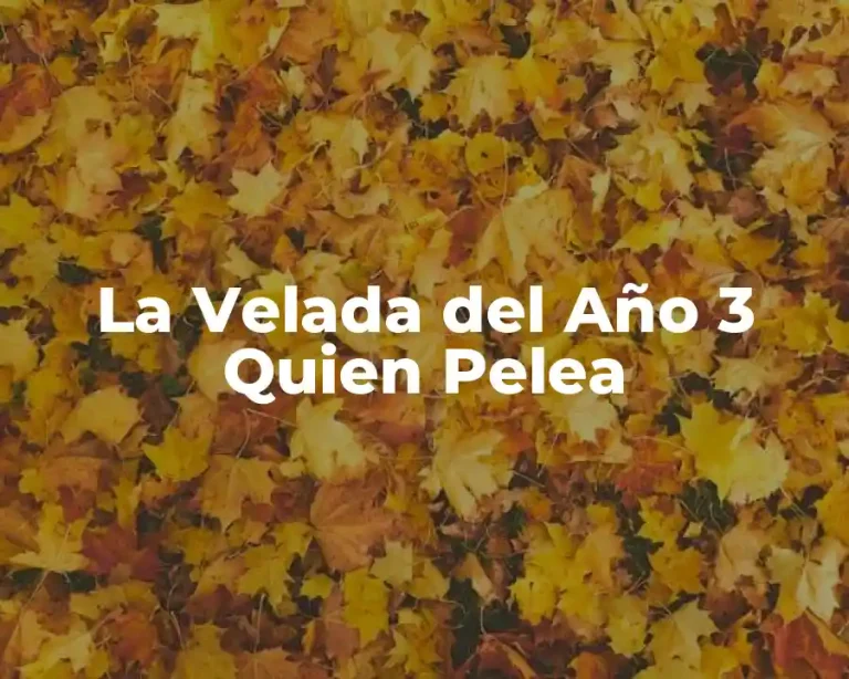 La Velada del Año 3 Quien Pelea