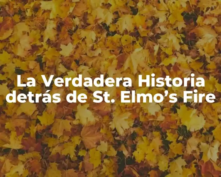 La Verdadera Historia detrás de St. Elmo’s Fire