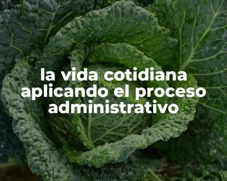 la vida cotidiana aplicando el proceso administrativo