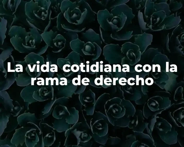 La vida cotidiana con la rama de derecho