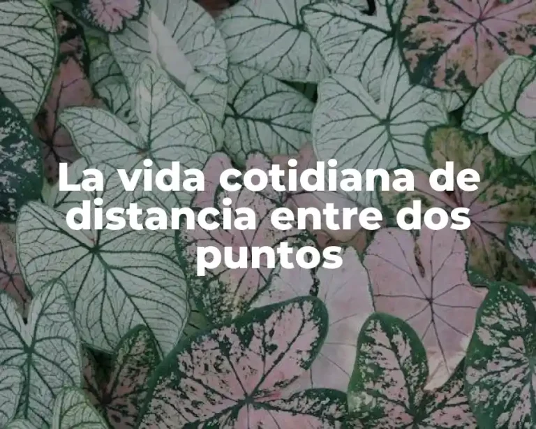 La vida cotidiana de distancia entre dos puntos