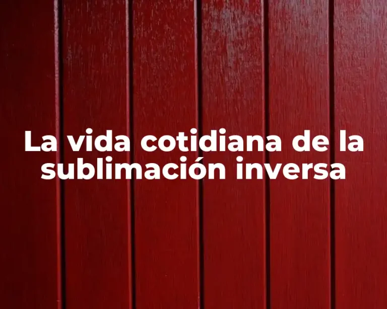 La vida cotidiana de la sublimación inversa