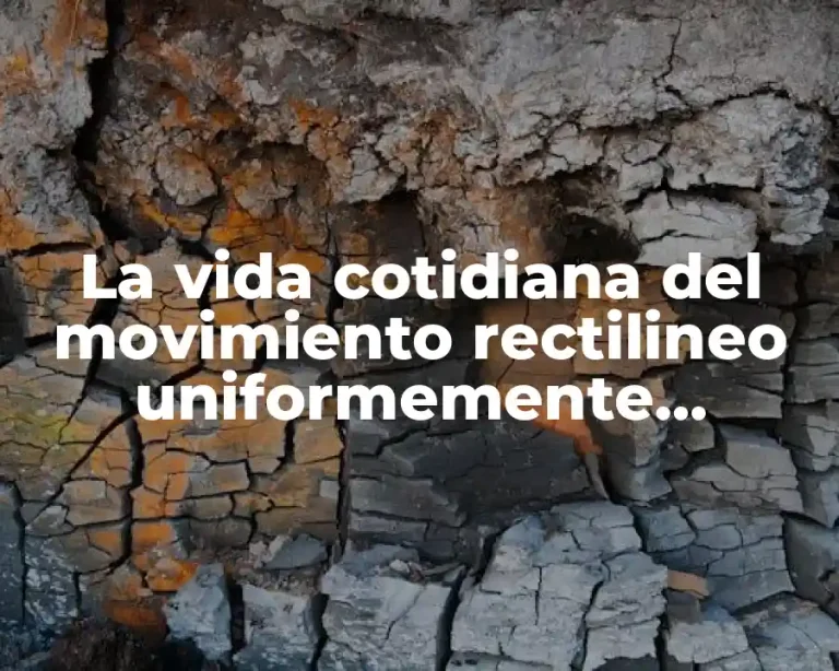 La vida cotidiana del movimiento rectilineo uniformemente acelerado