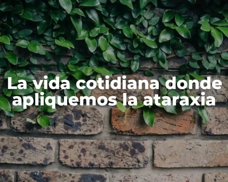 La vida cotidiana donde apliquemos la ataraxia