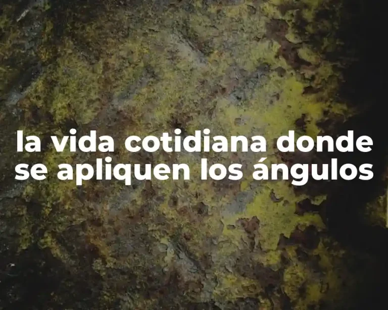 la vida cotidiana donde se apliquen los ángulos