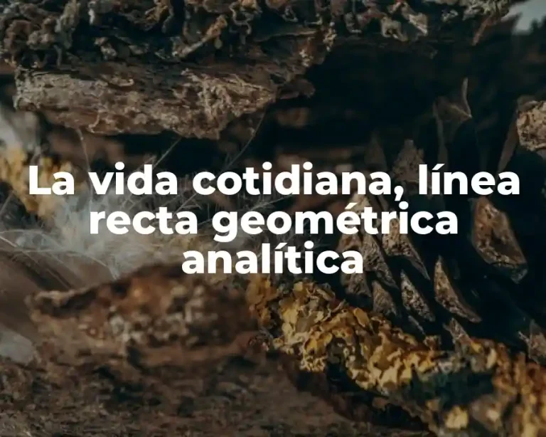 La vida cotidiana, línea recta geométrica analítica