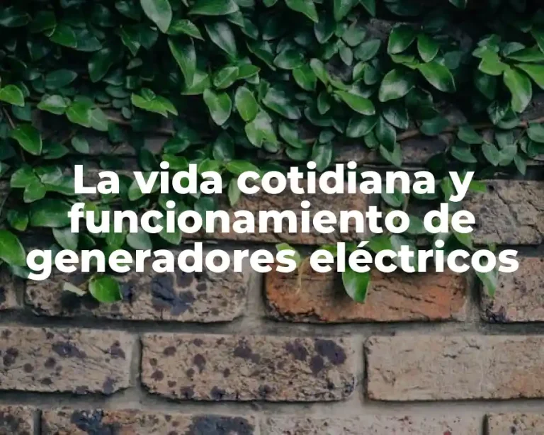 La vida cotidiana y funcionamiento de generadores eléctricos