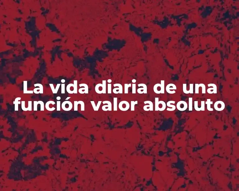 La vida diaria de una función valor absoluto