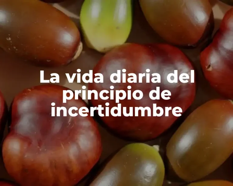 La vida diaria del principio de incertidumbre