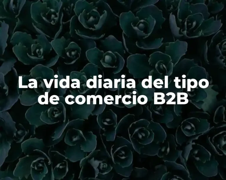 La vida diaria del tipo de comercio B2B