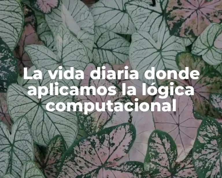 La vida diaria donde aplicamos la lógica computacional