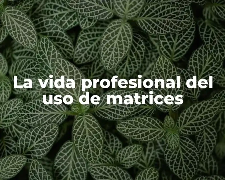 La vida profesional del uso de matrices