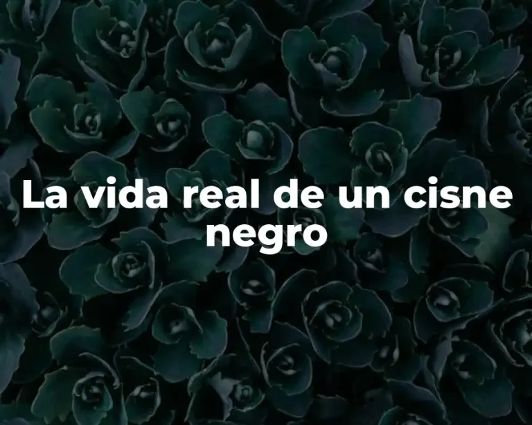 La vida real de un cisne negro