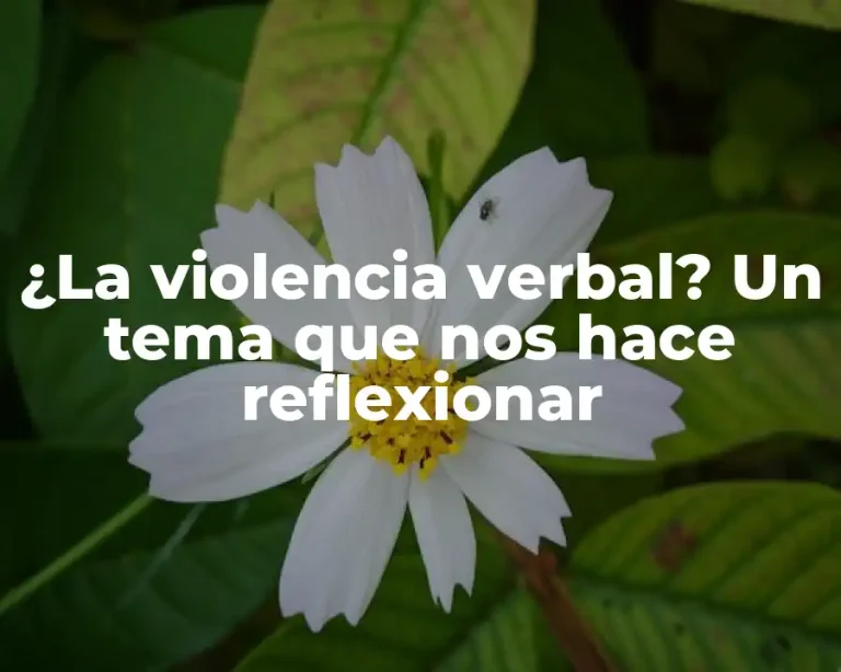 ¿La violencia verbal? Un tema que nos hace reflexionar