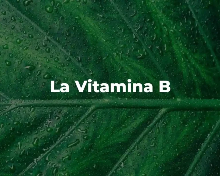 La Vitamina B
