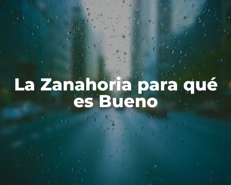 La Zanahoria para qué es Bueno