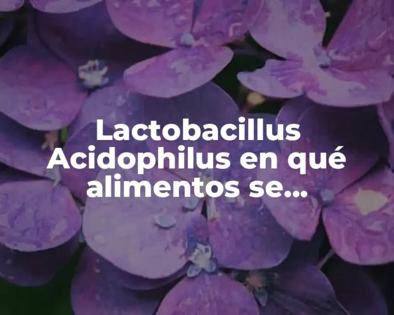 Lactobacillus Acidophilus en qué alimentos se encuentran