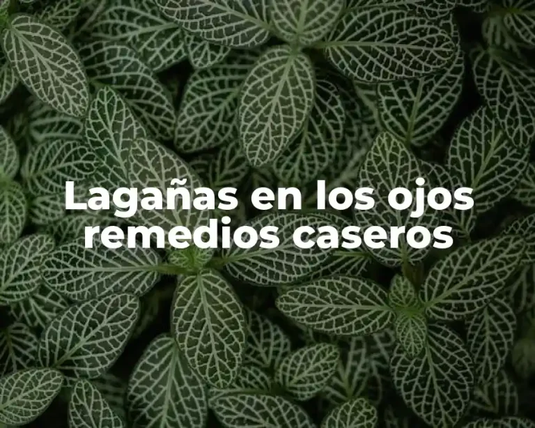 Lagañas en los ojos remedios caseros