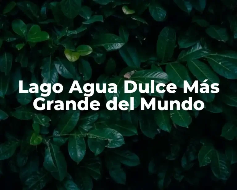 Lago Agua Dulce Más Grande del Mundo