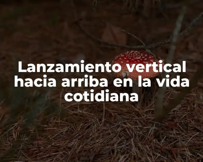Lanzamiento vertical hacia arriba en la vida cotidiana