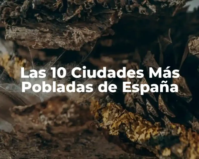 Las 10 Ciudades Más Pobladas de España