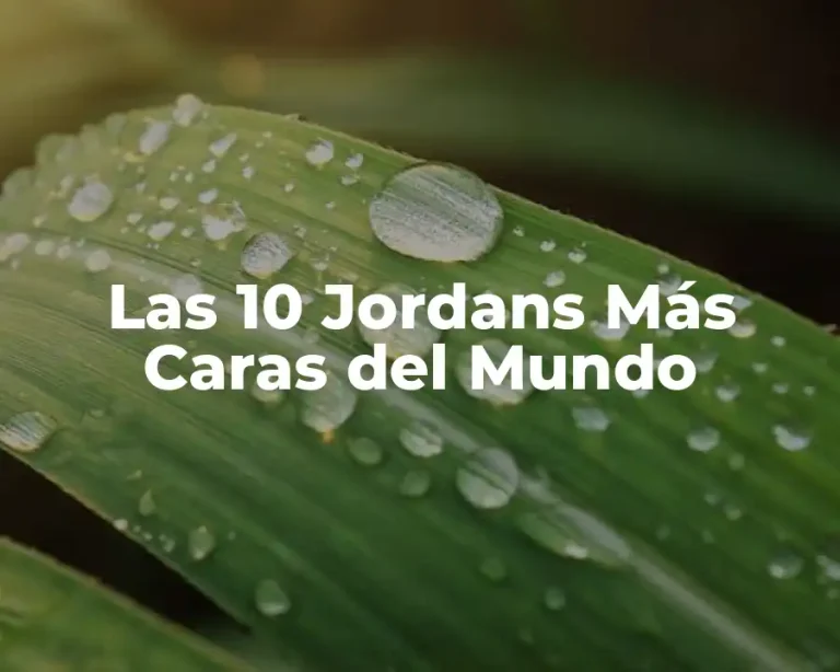 Las 10 Jordans Más Caras del Mundo