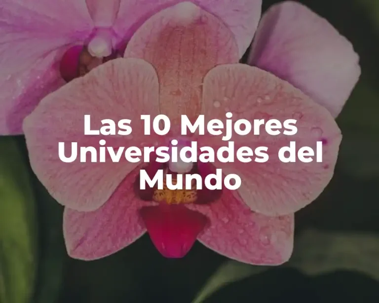 Las 10 Mejores Universidades del Mundo