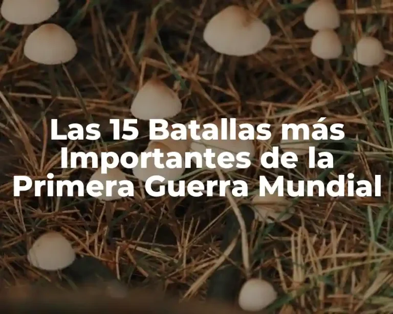 Las 15 Batallas más Importantes de la Primera Guerra Mundial