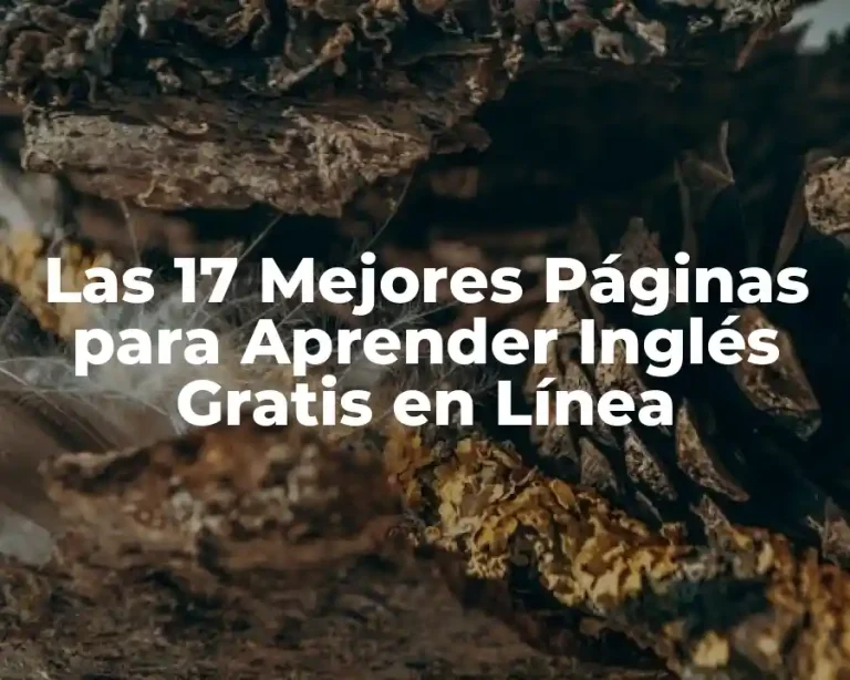 Las 17 Mejores Páginas para Aprender Inglés Gratis en Línea