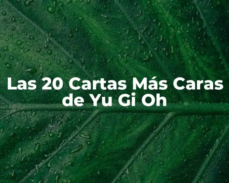 Las 20 Cartas Más Caras de Yu Gi Oh