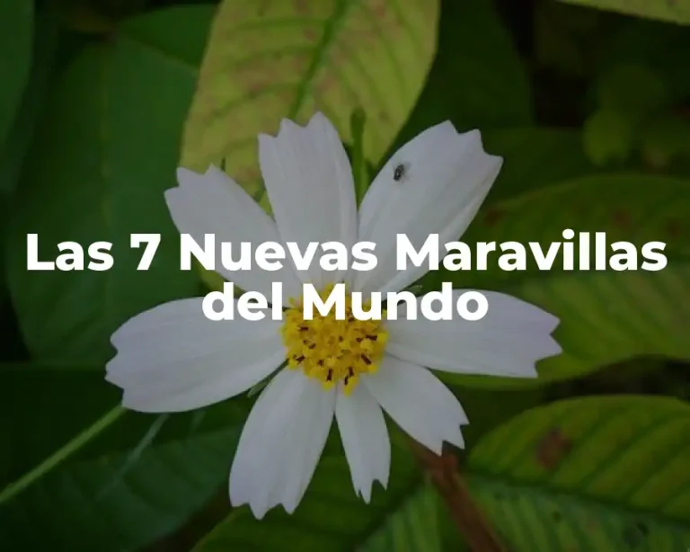 Las 7 Nuevas Maravillas del Mundo
