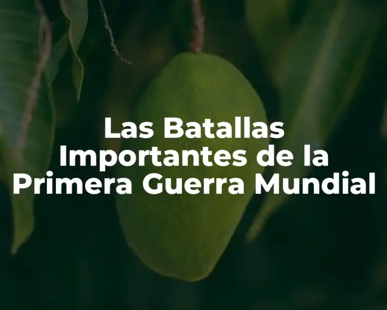 Las Batallas Importantes de la Primera Guerra Mundial