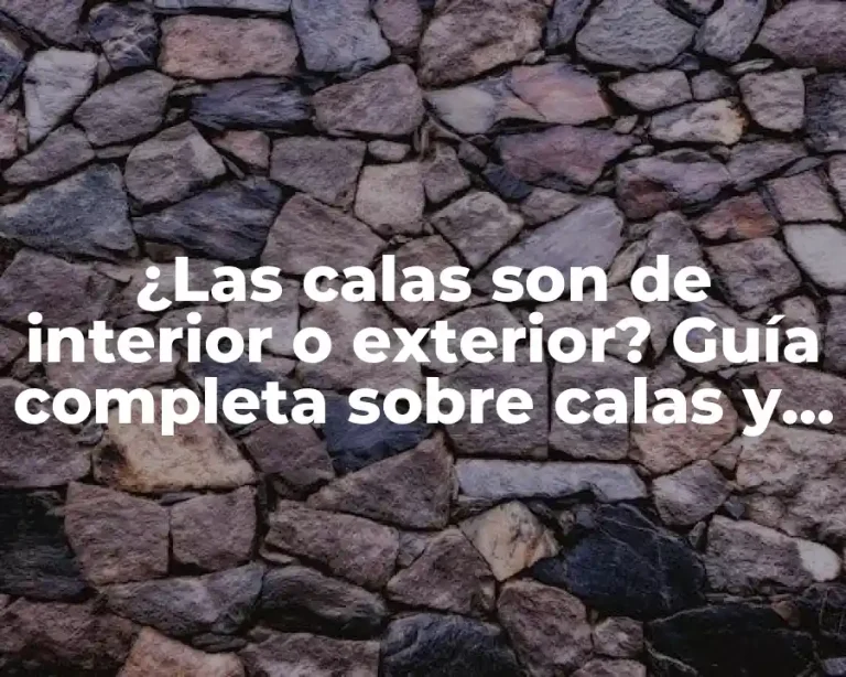 ¿Las calas son de interior o exterior? Guía completa sobre calas y su aplicación