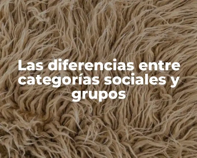 Las diferencias entre categorías sociales y grupos