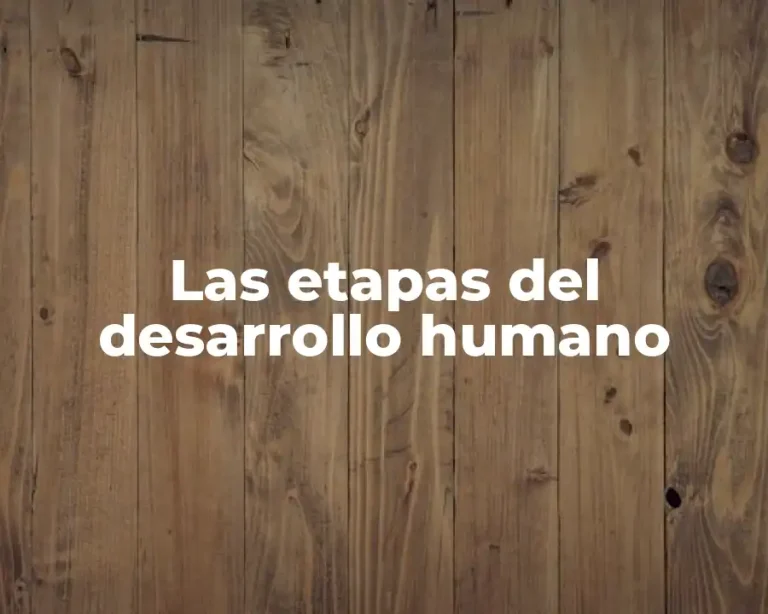 Las etapas del desarrollo humano