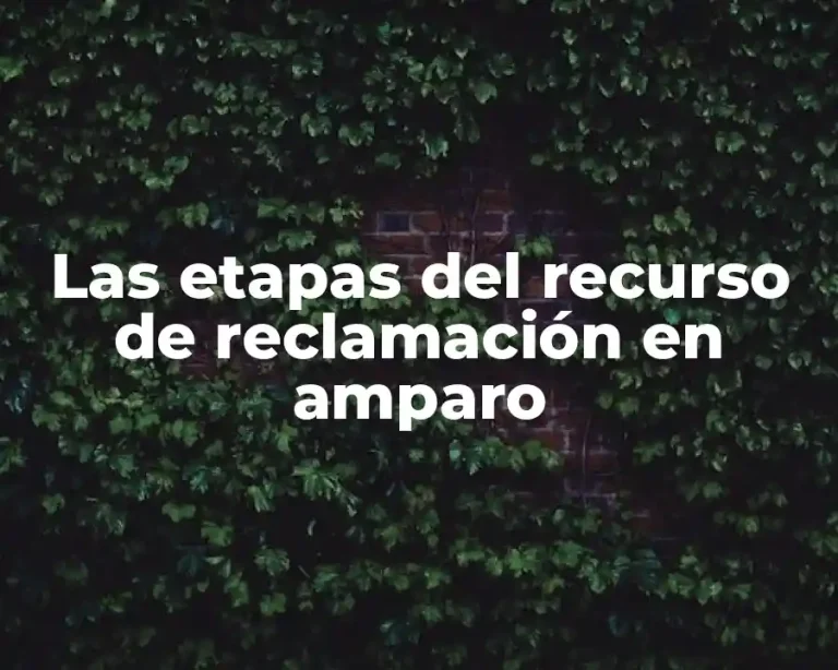 Las etapas del recurso de reclamación en amparo
