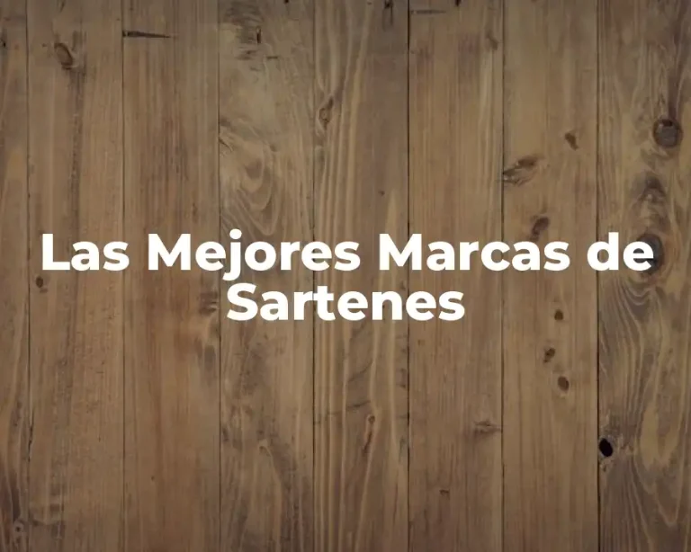 Las Mejores Marcas de Sartenes