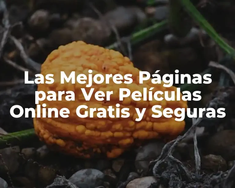 Las Mejores Páginas para Ver Películas Online Gratis y Seguras