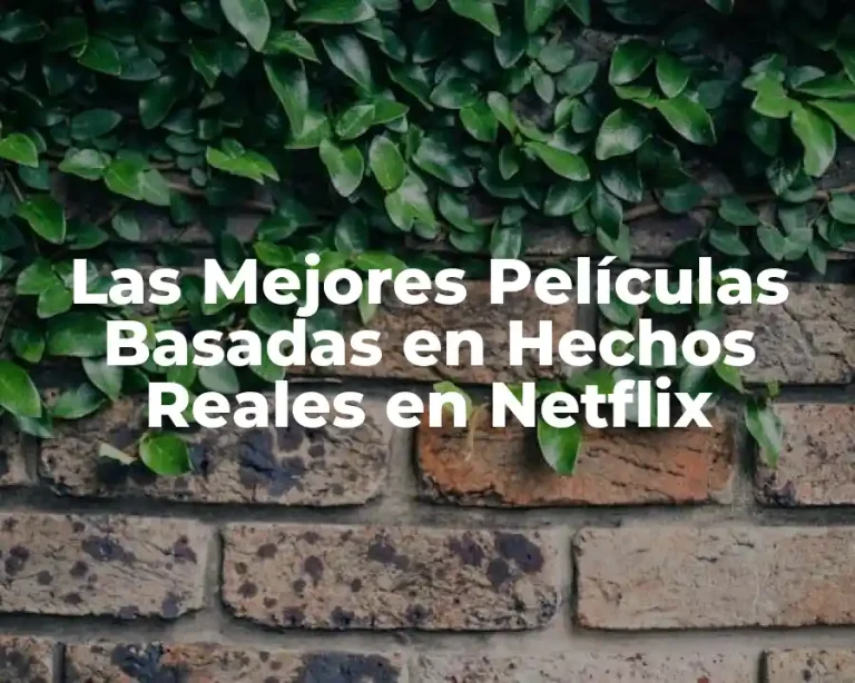 Las Mejores Películas Basadas en Hechos Reales en Netflix
