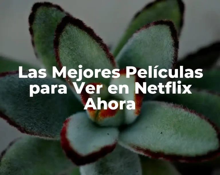 Las Mejores Películas para Ver en Netflix Ahora