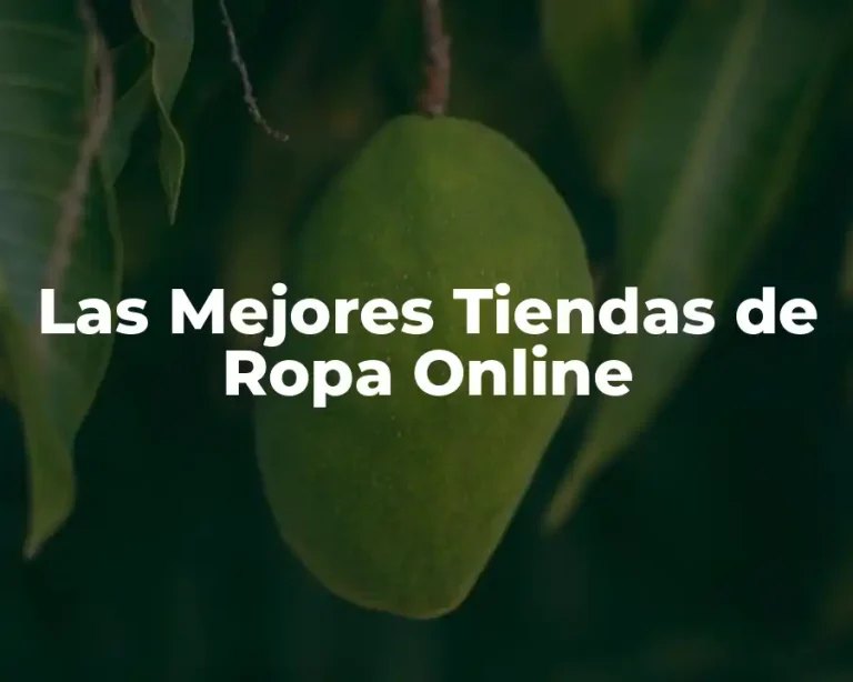 Las Mejores Tiendas de Ropa Online