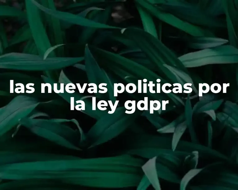 las nuevas politicas por la ley gdpr
