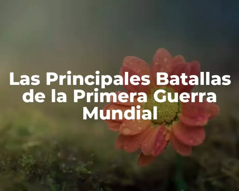 Las Principales Batallas de la Primera Guerra Mundial